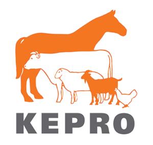 KEPRO