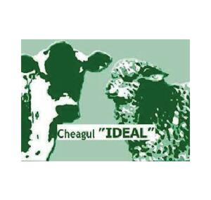 IDEAL STILL