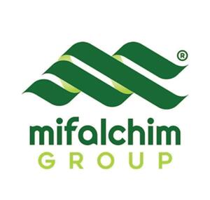 MIFALCHIM GROUP