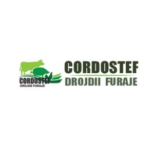 CORDOSTEF SRL