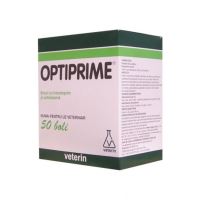 Antiinfectioase orale