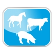Multispecie