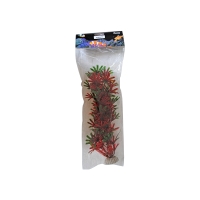 Plante acvarii