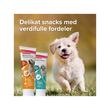 BEAPHAR JUNIOR PASTE SUPLIMENT PENTRU CATELUSI 100G