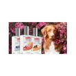 BEAPHAR APA DE PARFUM MLLE LILY PENTRU CAINE FEMELA 50ML