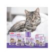 REZERVA DIFUZOR NO STRESS PENTRU PISICI BEAPHAR 30ML