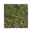 FAN DE MUNTE CU MENTA FLAMINGO 500G