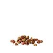 VERSELE LAGA HAPPY LIFE HRANA USCATA CAINI ADULTI 15KG