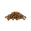 VERSELE LAGA HRANA USCATA PENTRU CAINI OPTI LIFE PUPPY SALMON&RICE 12.5KG