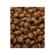 HRANA USCATA PENTRU CAINI VERSELE LAGA CLASSIC OKE LAMB&RICE 20KG