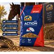 VERSELE LAGA CAVALOR ACTION MIX EXPERT FURAJ CABALINE 20KG