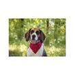 ZGARDA PENTRU CAINI FLAMINGO ROSIE CU BANDANA 35-50CM