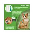 FRONTLINE COMBO ANTIPARAZITAR EXTERN PISICI (3PIP/CUT)