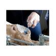 ANIMAL CARE BLUE SPRAY INGRIJIRE SI PROTECTIE PIELE SI ONGLOANE 200ML