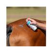 ANIMAL CARE SILVER SPRAY ALUMINIU INGRIJIRE SI PROTECTIE PIELE 200ML