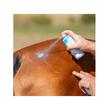 ANIMAL CARE SILVER SPRAY ALUMINIU INGRIJIRE SI PROTECTIE PIELE 200ML