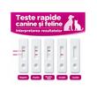 ANBIO KIT TEST RAPID CDV ANTIGEN (Ag) JIGODIE CAINI 10/SET