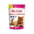 HRANA UMEDA PENTRU PISICI BIOCAT PLIC FICAT IN SOS 100G