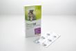 DRONTAL DOG FLAVOUR 6 TB