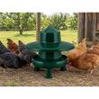 HRANITOARE PENTRU PASARI GAUN VERDE 4KG CU PICIOARE & PROTECTIE PLOAIE