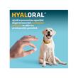 SUPLIMENT PENTRU CAINI DE TALIE MARE HYALORAL 120TB