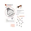 ADDICT GEL (DINOTEFURAN 2%) INSECTICID PENTRU FURNICI 30G