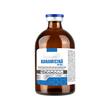SOLUTIE INJECTABILA MULTISPECIE KANAMICINA FP 25% 100ML