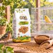 OLA SEMINTE DE IARBA-CANARULUI HRANA COMPLEMENTARA CANARI 1KG