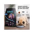 VIVO HRANA USCATA SUPER PREMIUM PENTRU CAINI ADULTI DE TALIE MINI&MICA CU MIEL SI OREZ 10KG