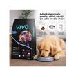 VIVO HRANA USCATA SUPER PREMIUM PENTRU CAINI ADULTI DE TALIE MEDIE&MARE CU SOMON 10KG