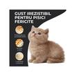 VIVO HRANA USCATA SUPER PREMIUM PENTRU PISICI KITTEN CU PUI 10KG