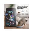 VIVO HRANA USCATA SUPER PREMIUM PENTRU PISICI ADULTE CU SOMON 10KG