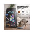 VIVO HRANA USCATA SUPER PREMIUM PENTRU PISICI ADULTE CU PUI 10KG