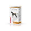 ANTIINFECTIOS ORAL PENTRU CAINI FUNGICONAZOL 400 MGx10TAB/BLISTER