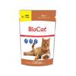 HRANA UMEDA PENTRU PISICI BIOCAT PLIC CURCAN IN SOS 100G