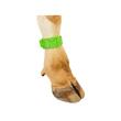 CUREA MARCATOARE PENTRU GLEZNA BOVINE KERBL VERDE
