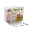 [PROMO] MILPRAZON 4 MG/10 MG SMALL CAT (CUTIE*2TB) 2 CUTII CU -10% DISCOUNT