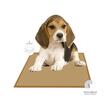 COVOR ABSORBANT PENTRU CAINI FIGARO BAMBUS 60x60CM (50BUC/BAX)