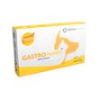 PROTECTOR GASTRIC PENTRU CAINI SI PISICI GASTRO HEALTH 30 COMPRIMATE MASTICABILE 