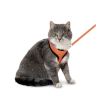 SET HAM+LESA PENTRU PISICA FLAMINGO ORANGE/BLACK 110CMx10MM