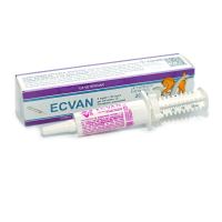 [PROMO] ECVAN SERINGA 20ML 10+1 GRATIS
