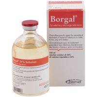 [PROMO] BORGAL 100ML 2 FLACOANE CU -10% DISCOUNT