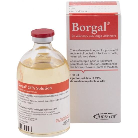 [PROMO] BORGAL 100ML 2 FLACOANE CU -10% DISCOUNT