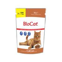 HRANA UMEDA PENTRU PISICI BIOCAT PLIC CURCAN IN SOS 100G
