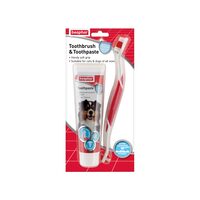 KIT DENTAR PASTA+PERIUTA PENTRU CAINI DE TALIE MARE SI PISICI BEAPHAR 100G