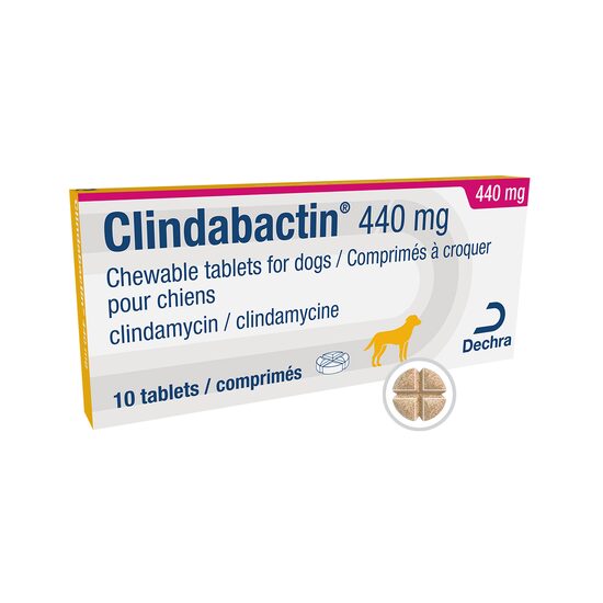 DECHRA CLINDABACTIN 440MG 10CP DUBLU-DIVIZIBILE ANTIINFECTIOASE ORALE CAINI
