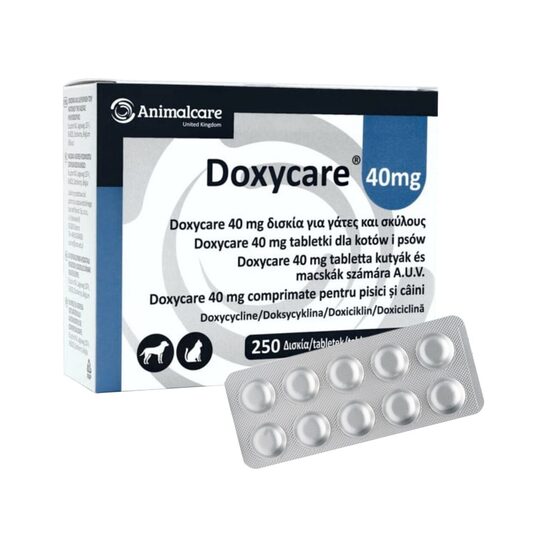 [PROMO] DOXYCARE 40MG TRATAMENT BOLI RESPIRATORII CAINI SI PISICI (BLISTERx10TB) 5 BLISTERE + 1 MITEX 20ML GRATIS