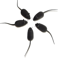 JUCARIE SET 50 SOARECI NEGRI VINIL 