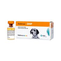 [PROMO] NOBIVAC DHP 50 DOZE + 1 SAMPON ANTIMICOTIC CAINI SI PISICI MALASEB 250ML GRATIS