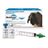 NOBIVAC KC PROMO 20 DZ + 3 BLS CLAVUCILL 250 MG GRATIS 